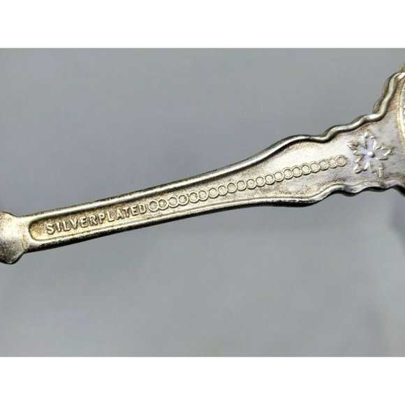 New Hampshire Purple Finch And Lilac Perfection Celest Holland Mini Silver Spoon - Picture 8 of 9